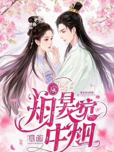 金牌帝師小說后續(xù)